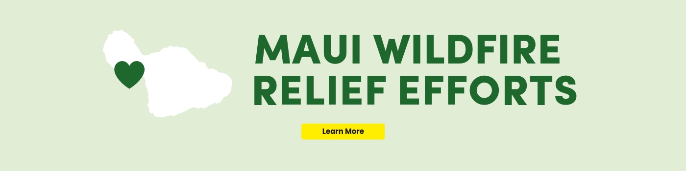 Maui Wildfire Relief Efforts